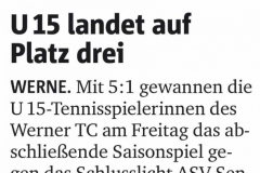 WTC Zeitungsartikel - 70 von 316