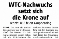 WTC Zeitungsartikel - 130 von 316