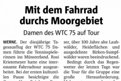 WTC Zeitungsartikel - 139 von 316