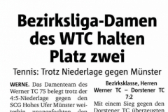 WTC Zeitungsartikel - 206 von 316