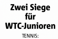 WTC Zeitungsartikel - 241 von 316