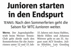 WTC Zeitungsartikel - 295 von 316